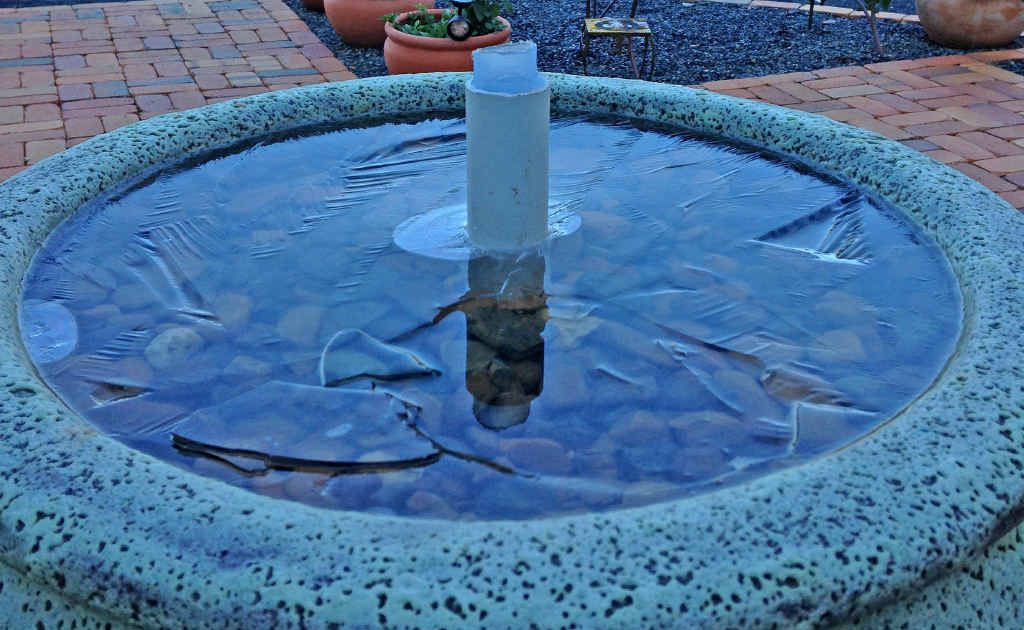 FREEZING: Sonia Hunt sent in this photo of the pond at the Abbey of the Roses, with the top of the water frozen. Luckily, their five new goldfish survived. If you’ve taken a great weather shot, email it to edit@ warwickdailynews.com.au or share it on our Facebook page. FREEZING: Sonia Hunt sent in this photo of the pond at the Abbey of the Roses, with the top of the water frozen. Luckily, their five new goldfish survived. If you’ve taken a great weather shot, email it to edit@ warwickdailynews.com.au or share it on our Facebook page.